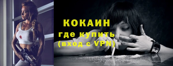 стаф Зеленокумск