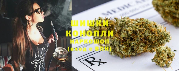 стаф Зеленокумск