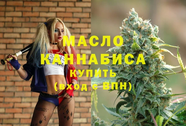 дмт Инсар